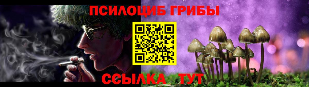 Галлюциногенные грибы MAGIC MUSHROOMS  Вход с VPN  Вышний Волочёк 