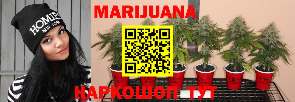 Каннабис White Widow Вышний Волочёк